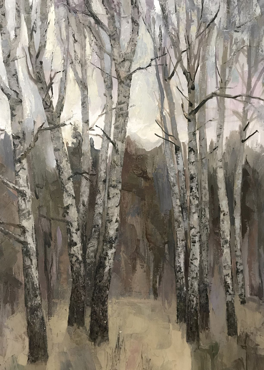 Birch Woods