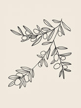 Load image into Gallery viewer, Botanical Sketch II
