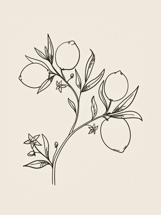 Botanical Sketch IV