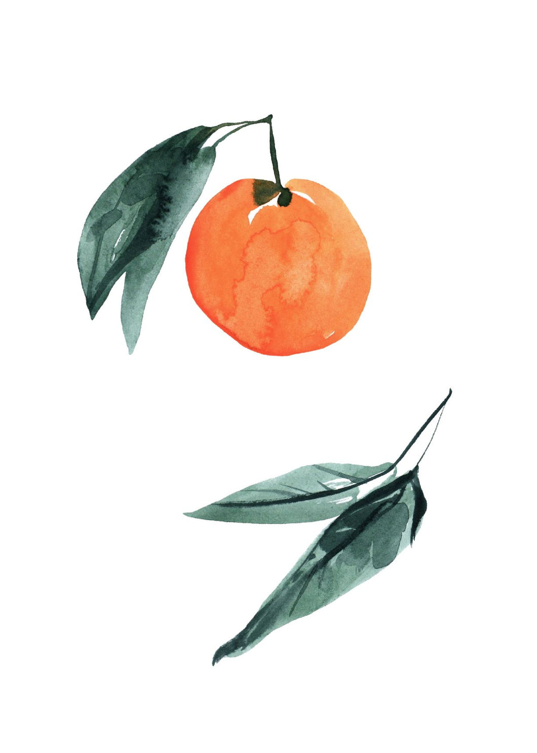 Citrus I