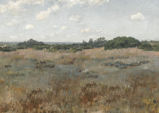 Coastal Prairie