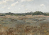 Coastal Prairie