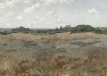 Load image into Gallery viewer, Coastal Prairie
