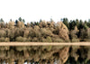 Fall Reflection