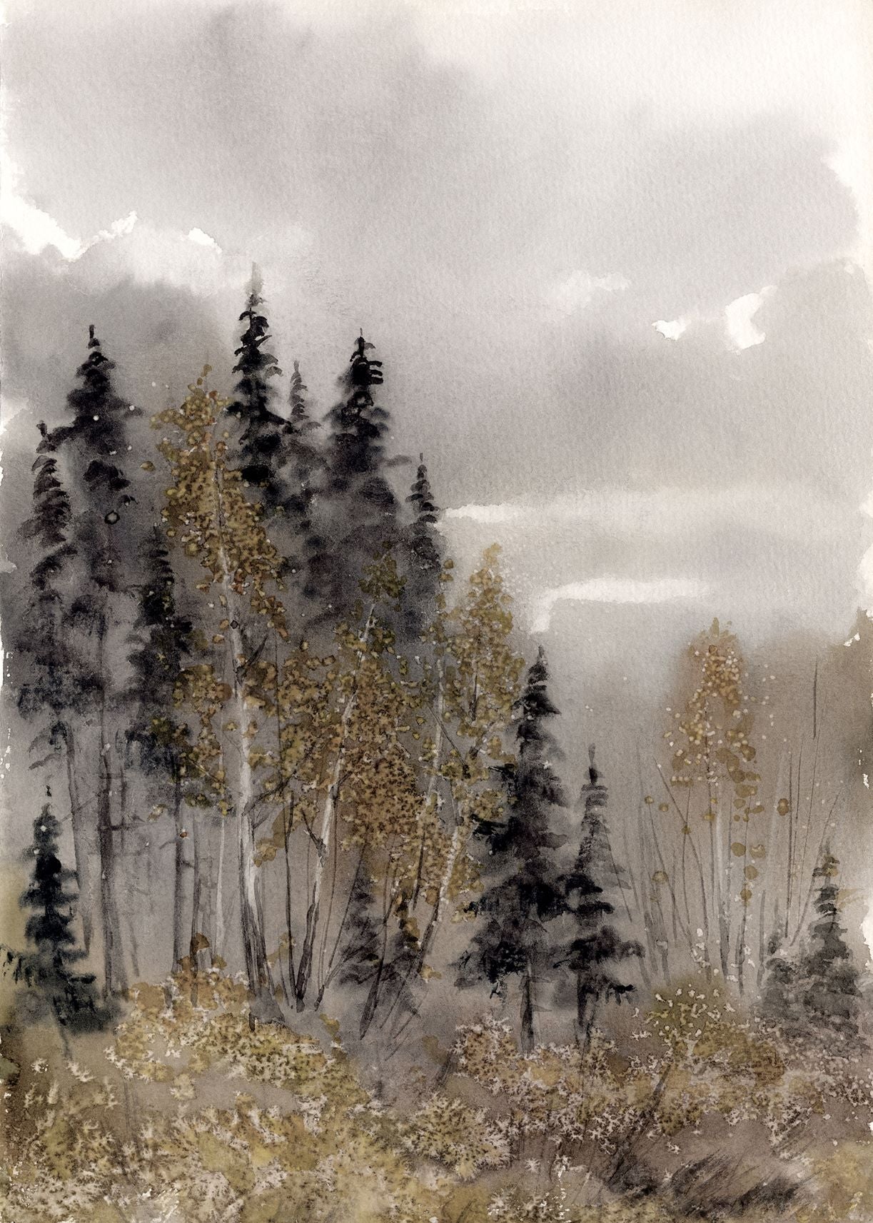 Foggy Forest Landscapes