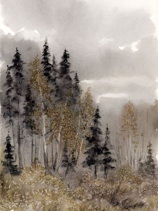 Foggy Forest