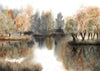 Foliage in the Fog