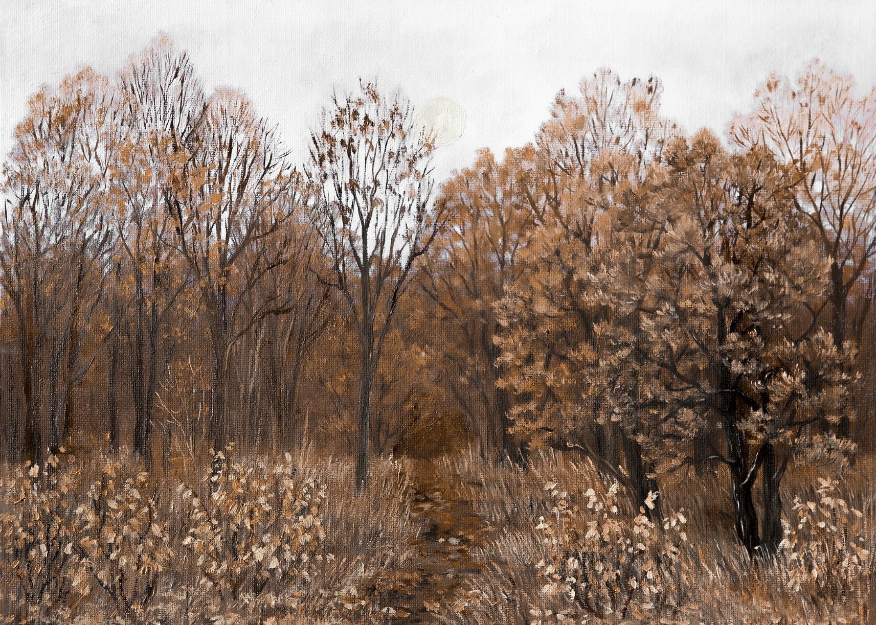 Footpath – Collection Prints
