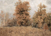 Forest in Fall