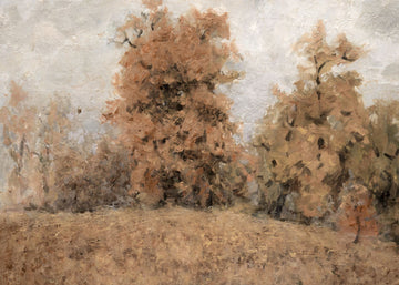 Forest in Fall