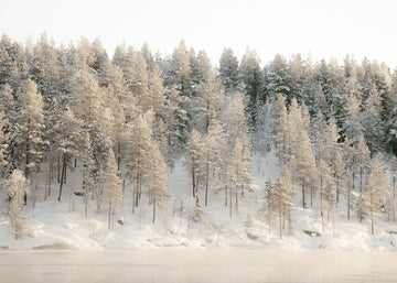 Frosted Hillside