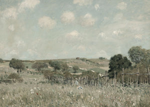 Meadow In Spring