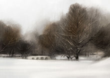 Load image into Gallery viewer, Park in Winter
