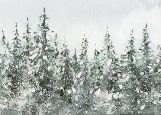 Spruce Forest