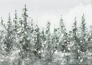Spruce Forest