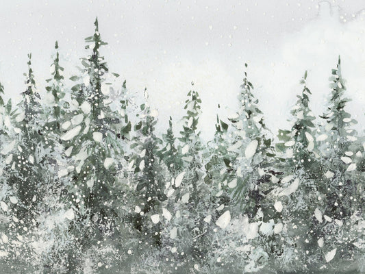 Spruce Forest