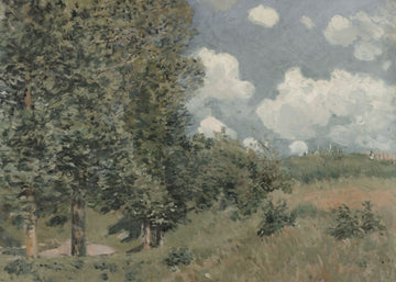 The Field
