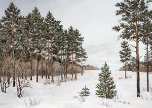 Trees in Winter