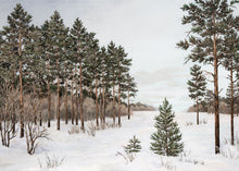 Load image into Gallery viewer, Trees in Winter
