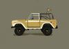 Vintage Bronco