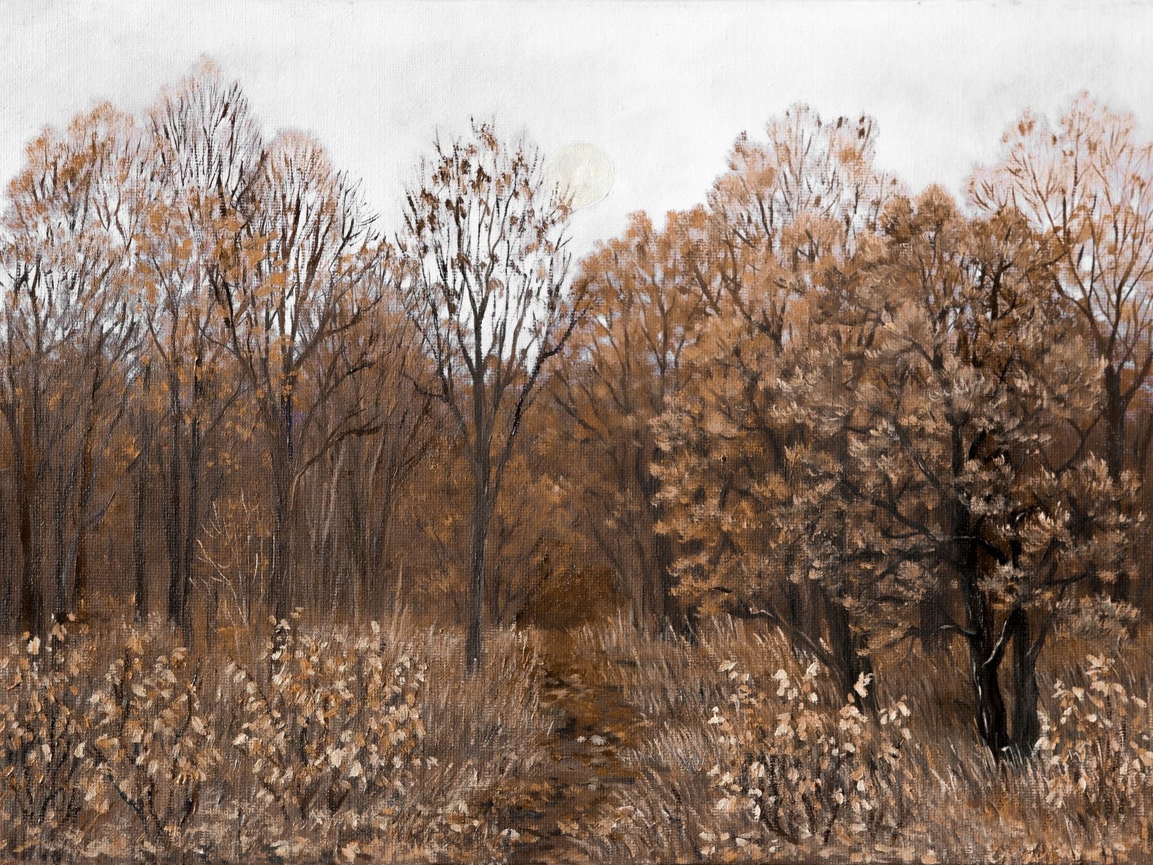 Footpath – Collection Prints