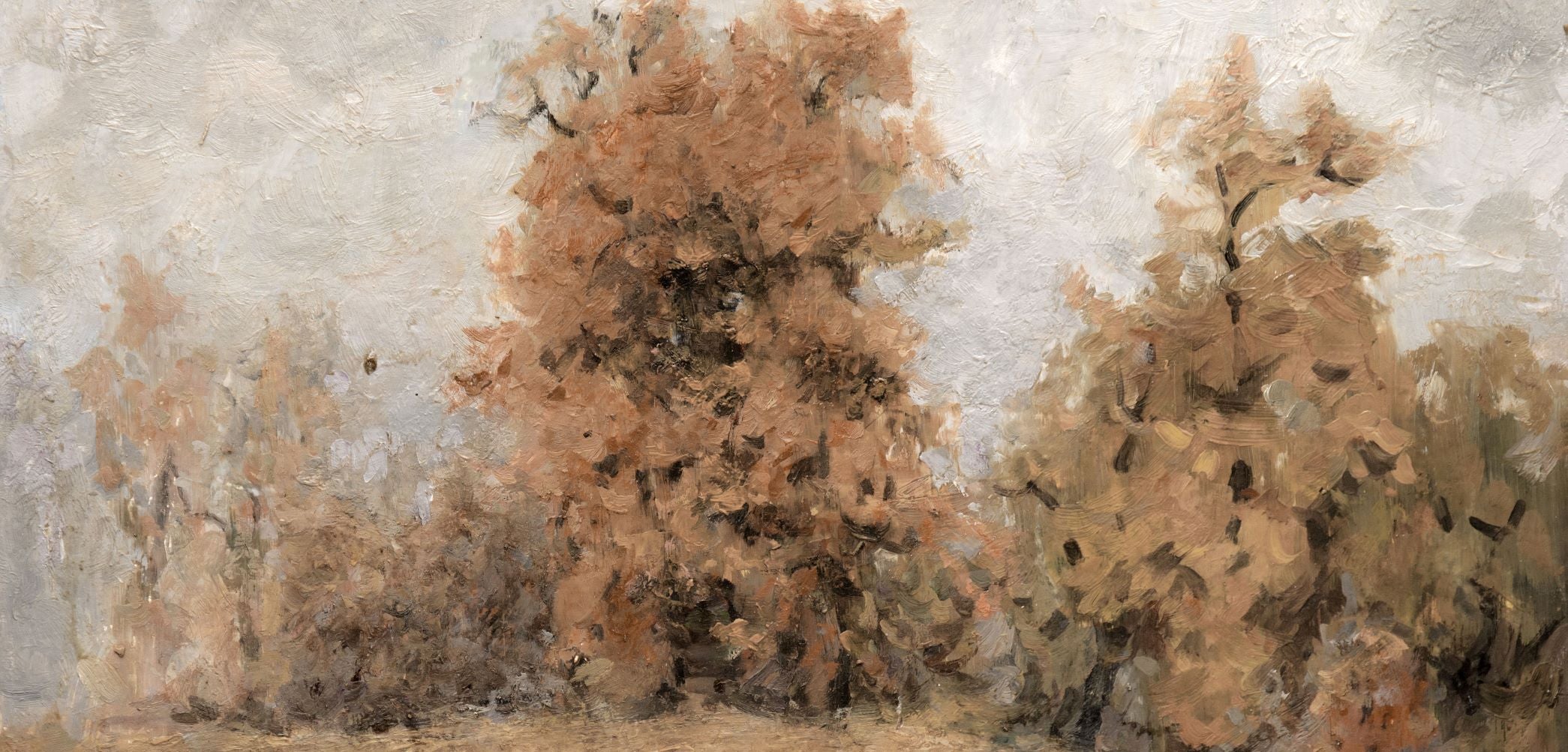 Forest in Fall