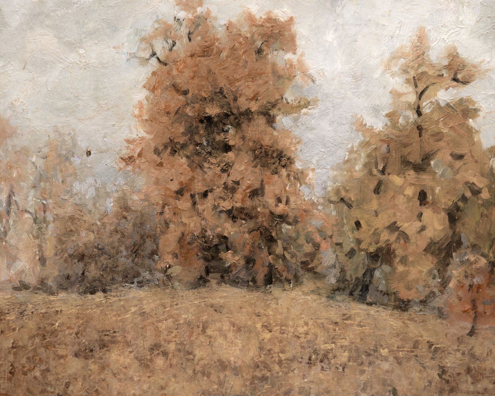 Forest in Fall