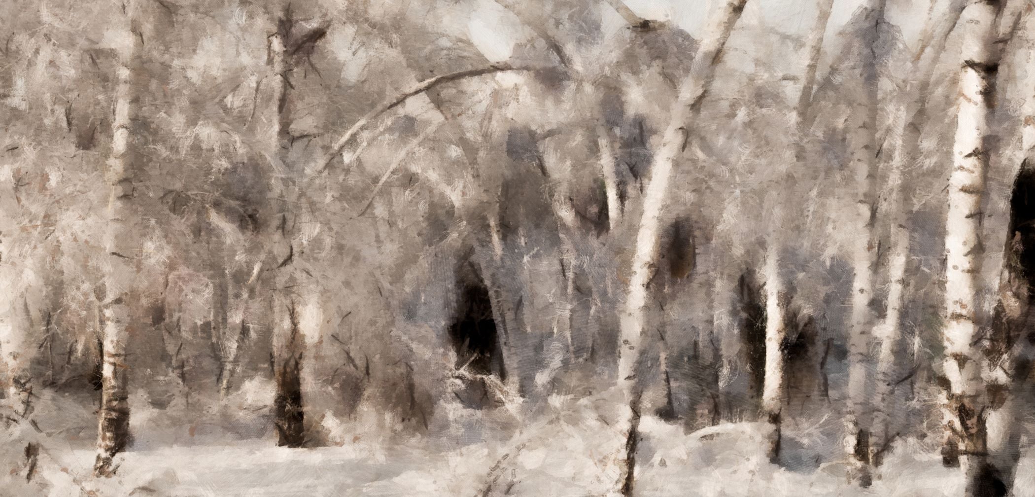Forest Snow
