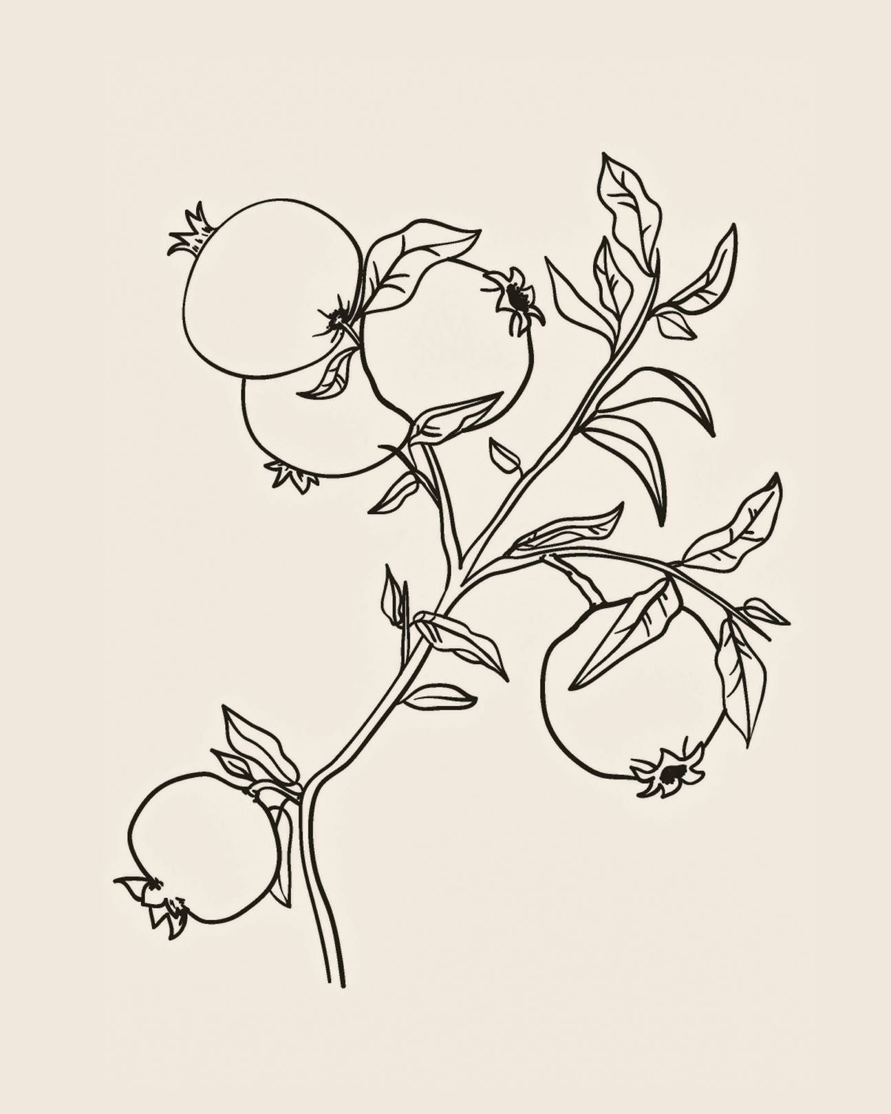 Botanical Sketch III – Collection Prints