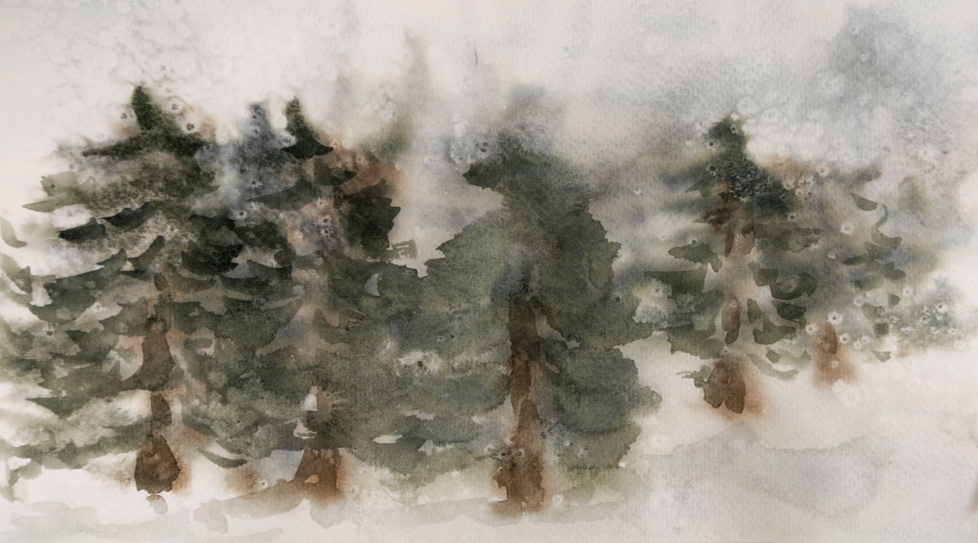 Evergreen – Collection Prints