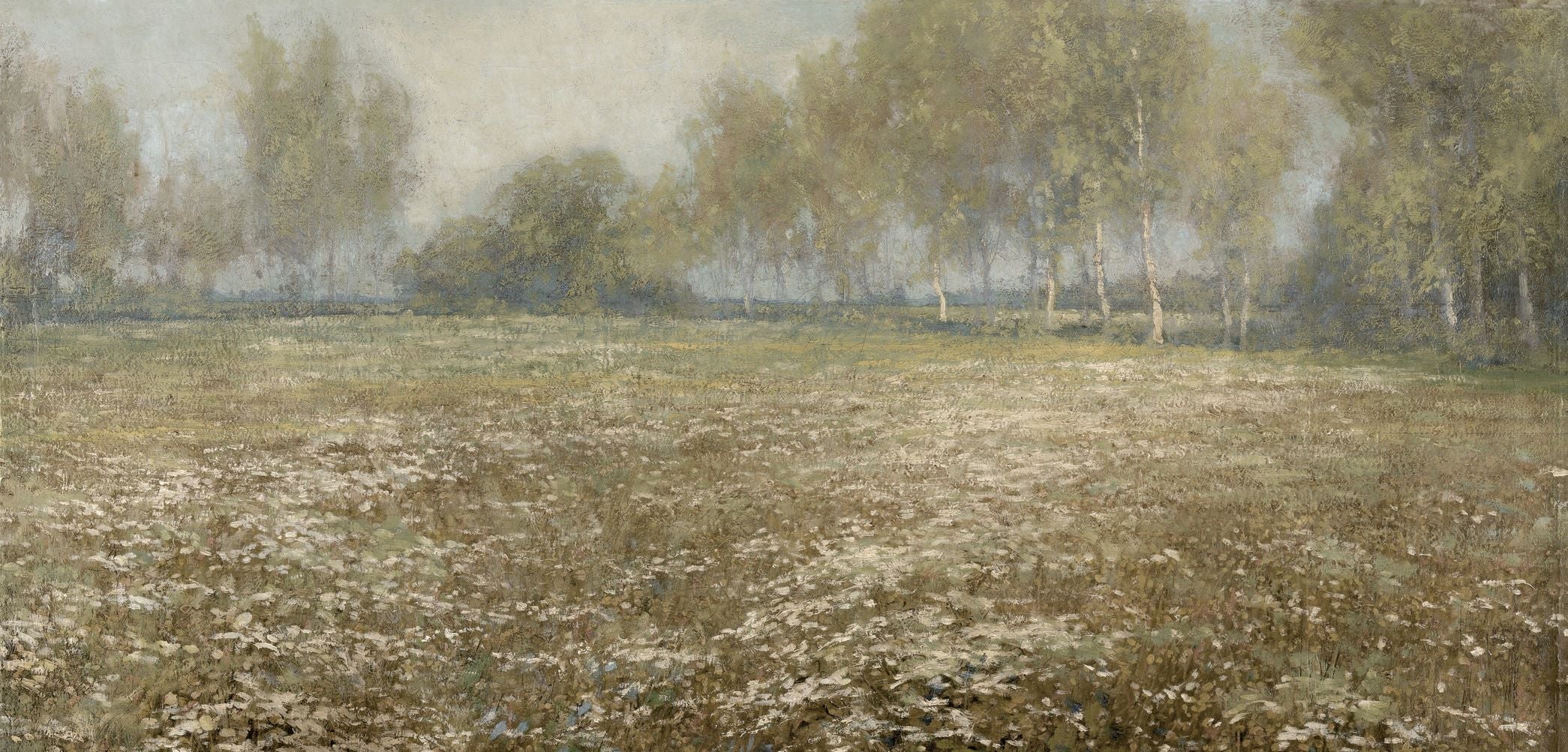 Meadow in Bloom
