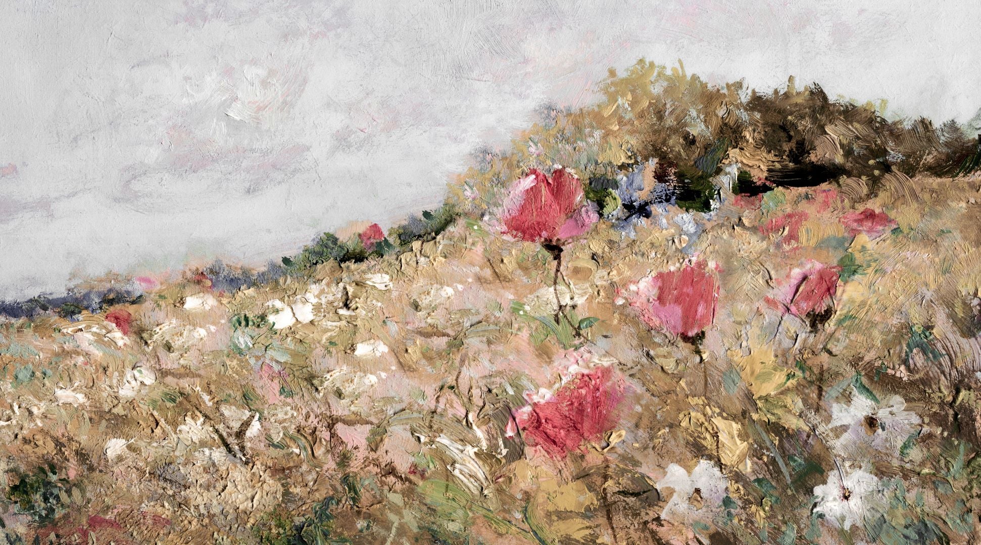 Poppies – Collection Prints