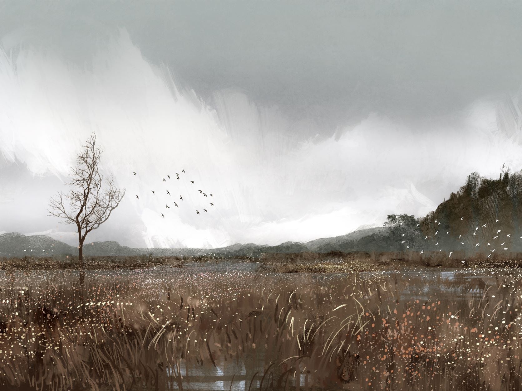 Serenity Collection Prints