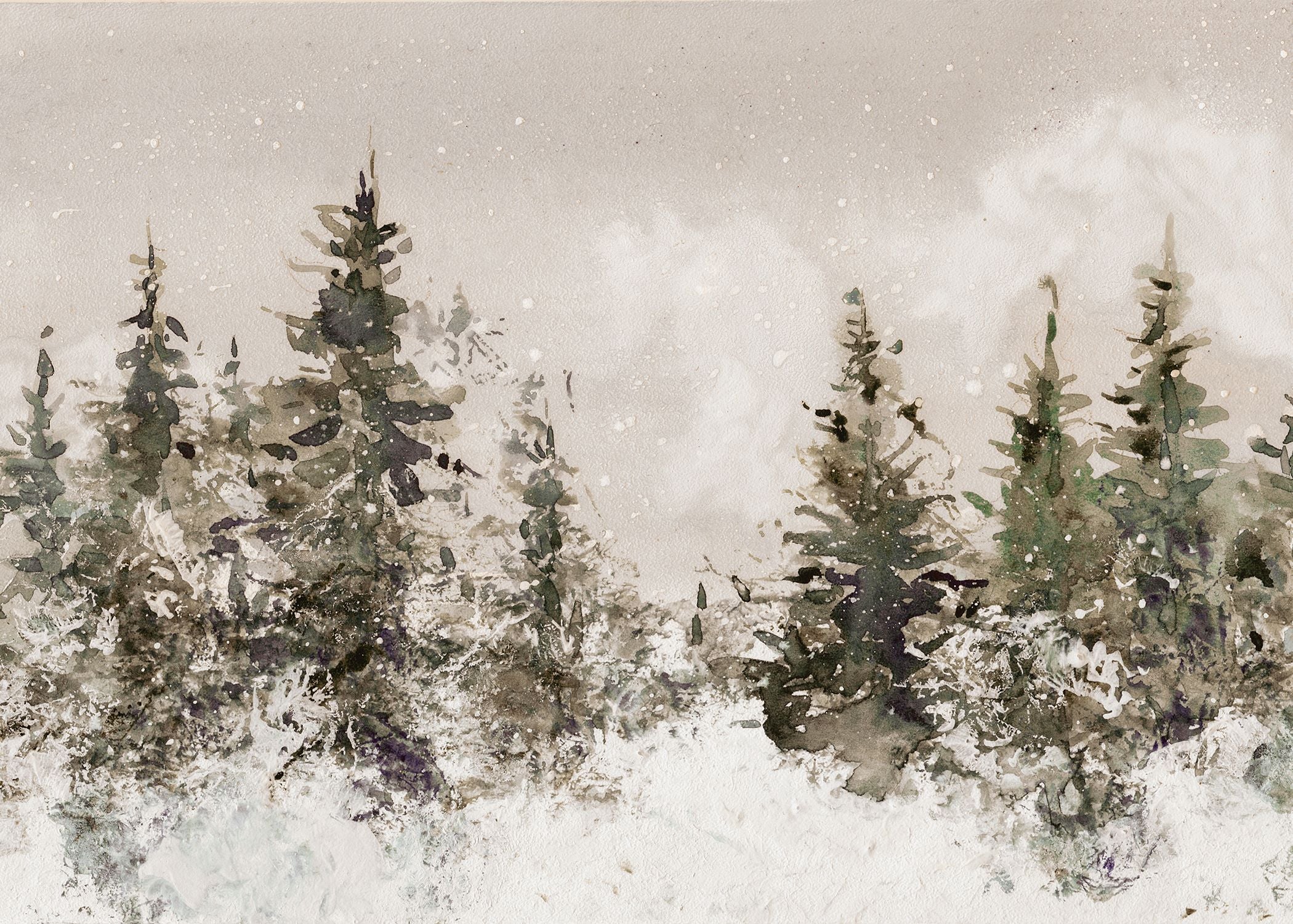 Snow Covered Pines