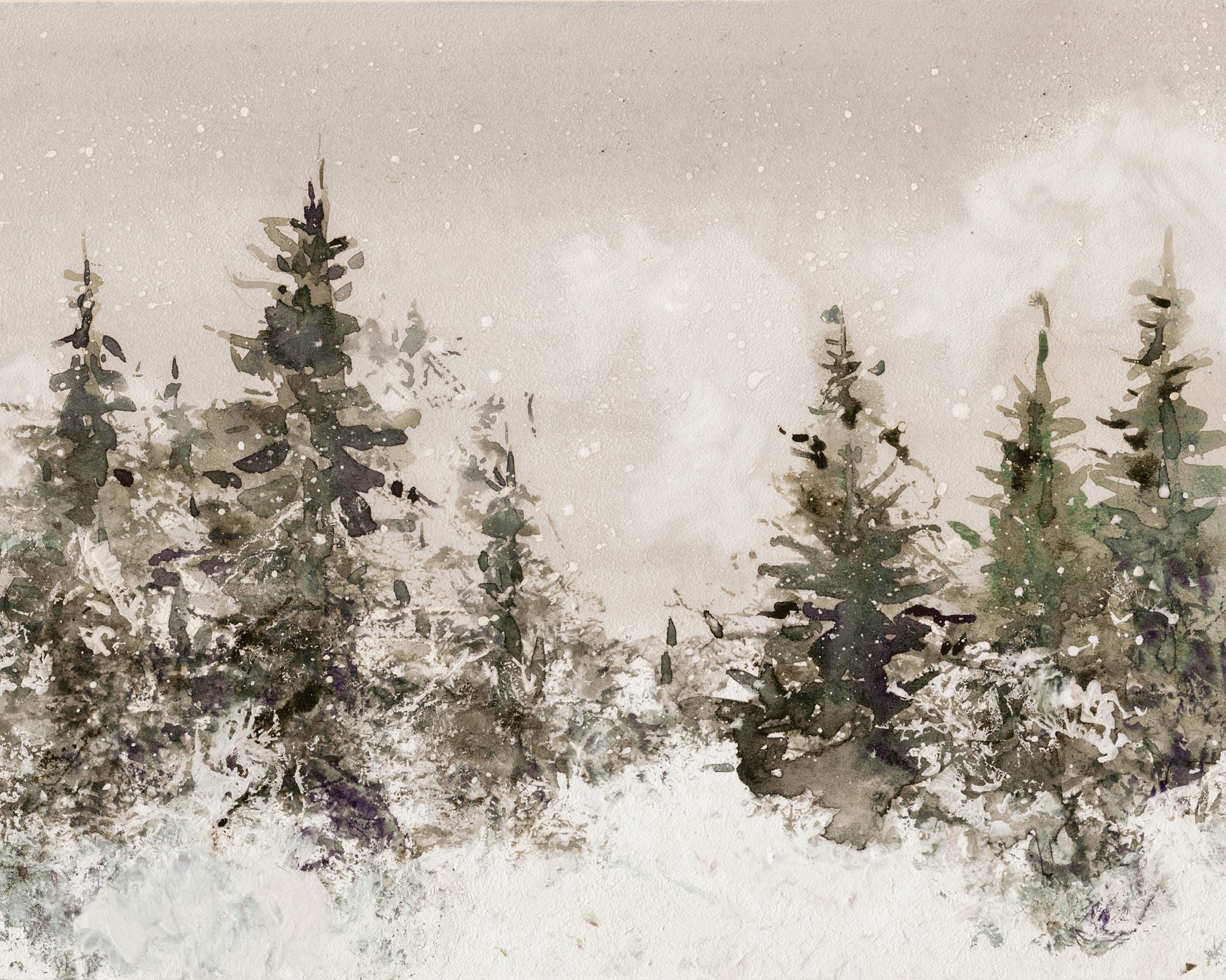 Snow Covered Pines
