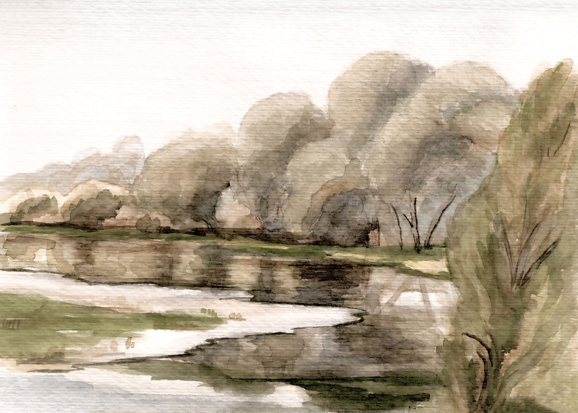 Willows at the River