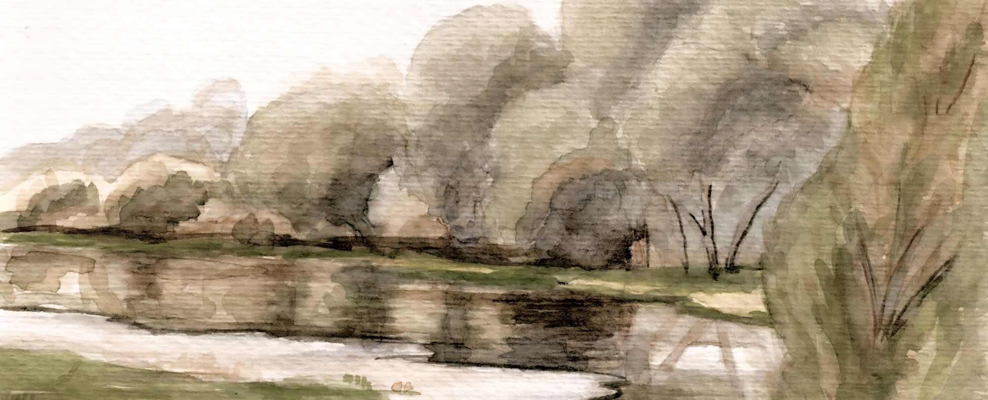 Willows at the River